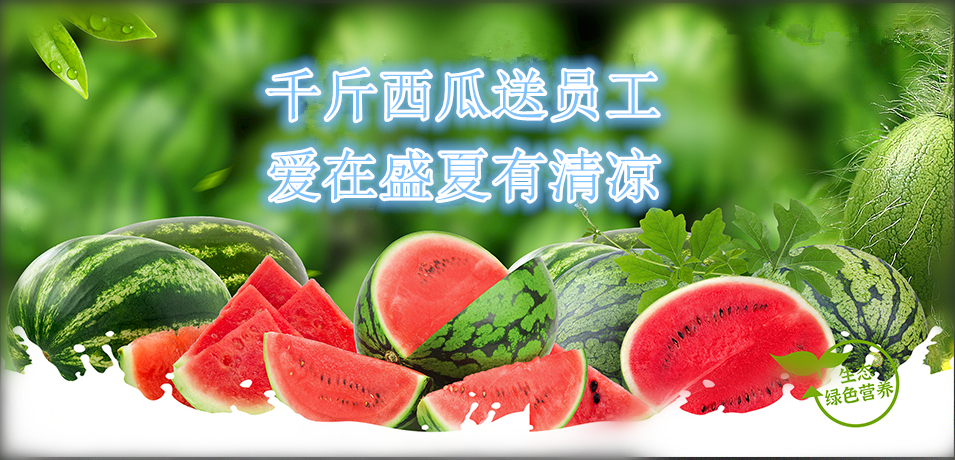 通達(dá)軟件公司： 千斤西瓜送員工，愛在盛夏有清涼